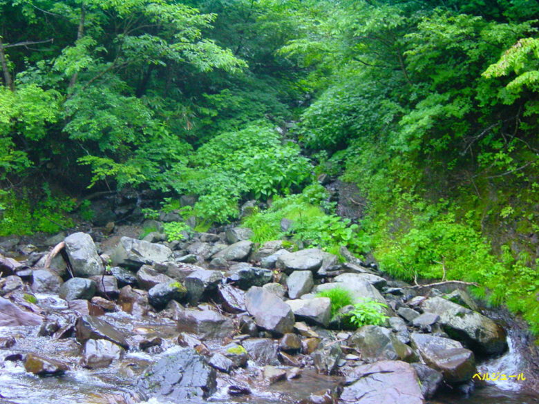 tokuyama00013 - 揖斐川上流・旧徳山村での岩魚釣り
