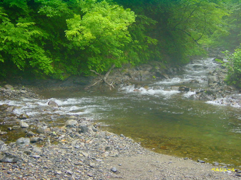 tokuyama00014 - 揖斐川上流・旧徳山村での岩魚釣り