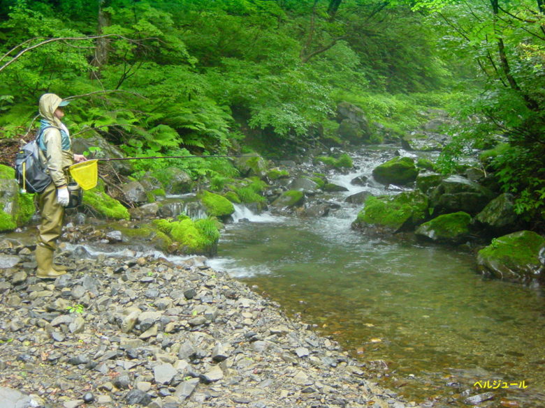tokuyama00016 - 揖斐川上流・旧徳山村での岩魚釣り