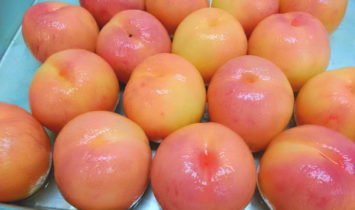丸ごと桃用の剥きたて桃