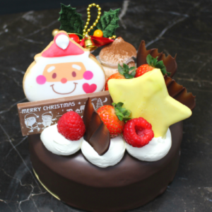 x2020 2 300x300 - x2020-2