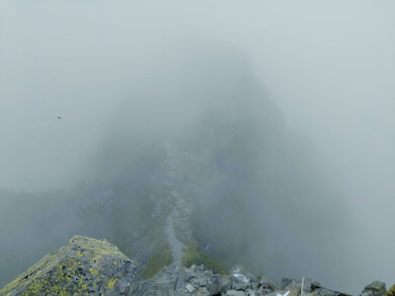 doku01 - モンブランの栗の産地