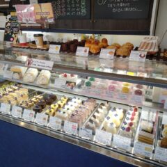 IMG20251122102731 240x240 - 「今さらInstagramですか？」と言われまして